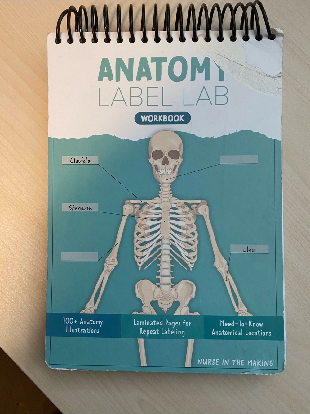 Anatomy Label Lab Workbook - Nurse in the making